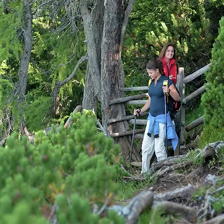 Dağ evi In Kolbnitz Near Slopes *