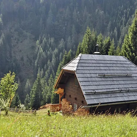 In Kolbnitz Near Slopes Penk