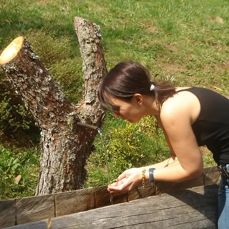 In Kolbnitz Near Slopes * Penk