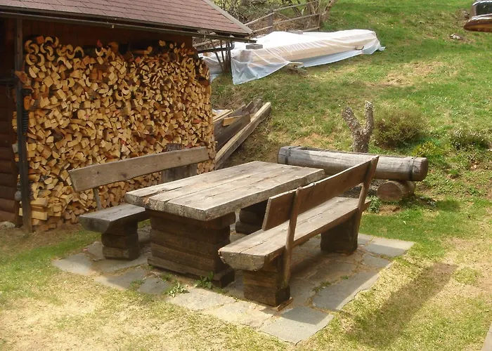 Dağ evi In Kolbnitz Near Slopes Penk